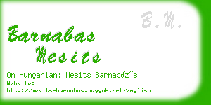 barnabas mesits business card